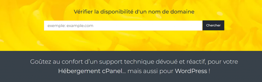 EasyHoster Hébergeur Web