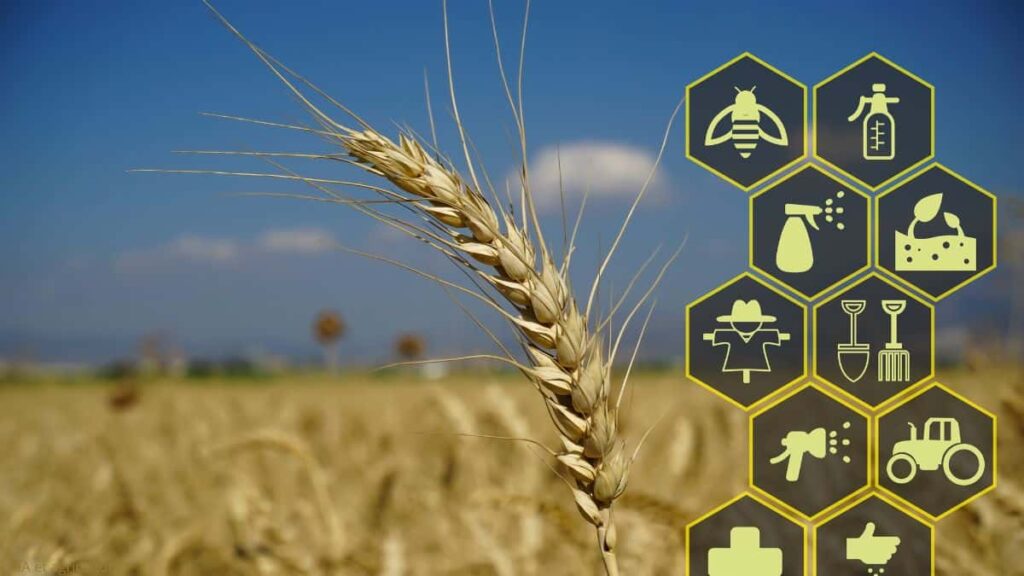découvrez comment l'intelligence artificielle révolutionne l'agriculture : innovations, automatisation des tâches, optimisation des récoltes et développement durable au service des agriculteurs.
