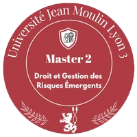 découvrez comment le juriste d'entreprise joue un rôle clé dans la gestion des risques, en protégeant l'organisation grâce à son expertise juridique et à ses stratégies de prévention adaptées.