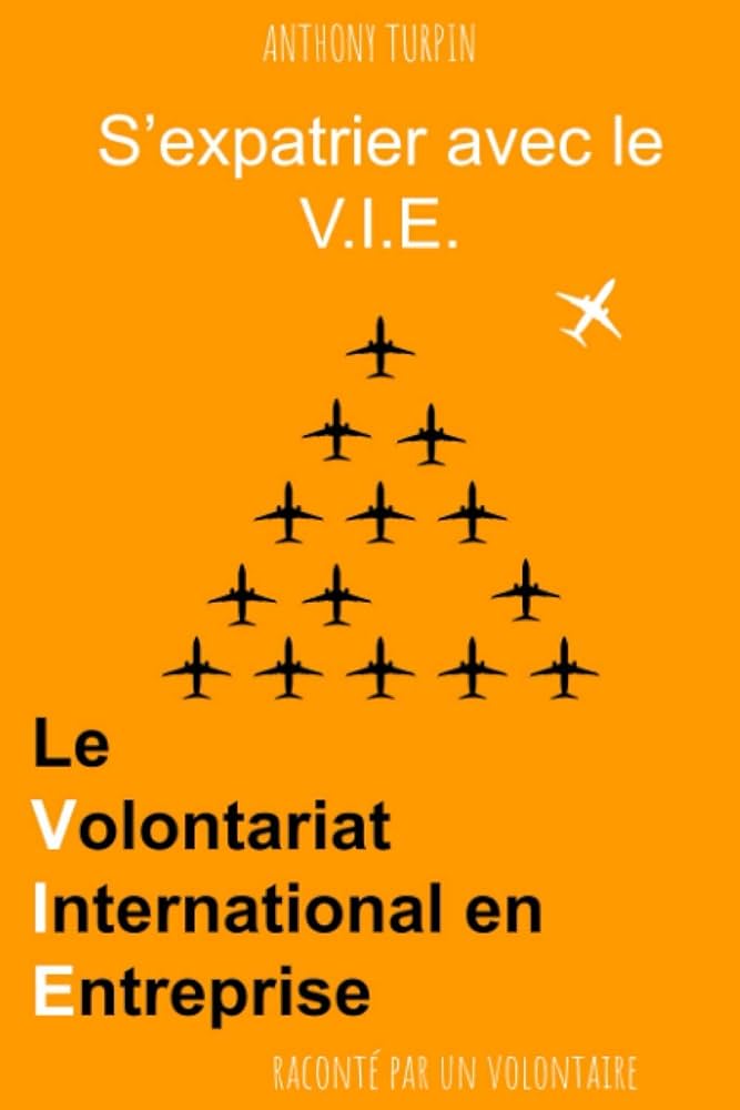 découvrez le volontariat international en entreprise (vie) : une opportunité unique pour acquérir une expérience professionnelle à l’étranger, développer vos compétences et booster votre carrière au sein d’une entreprise française à l’international.