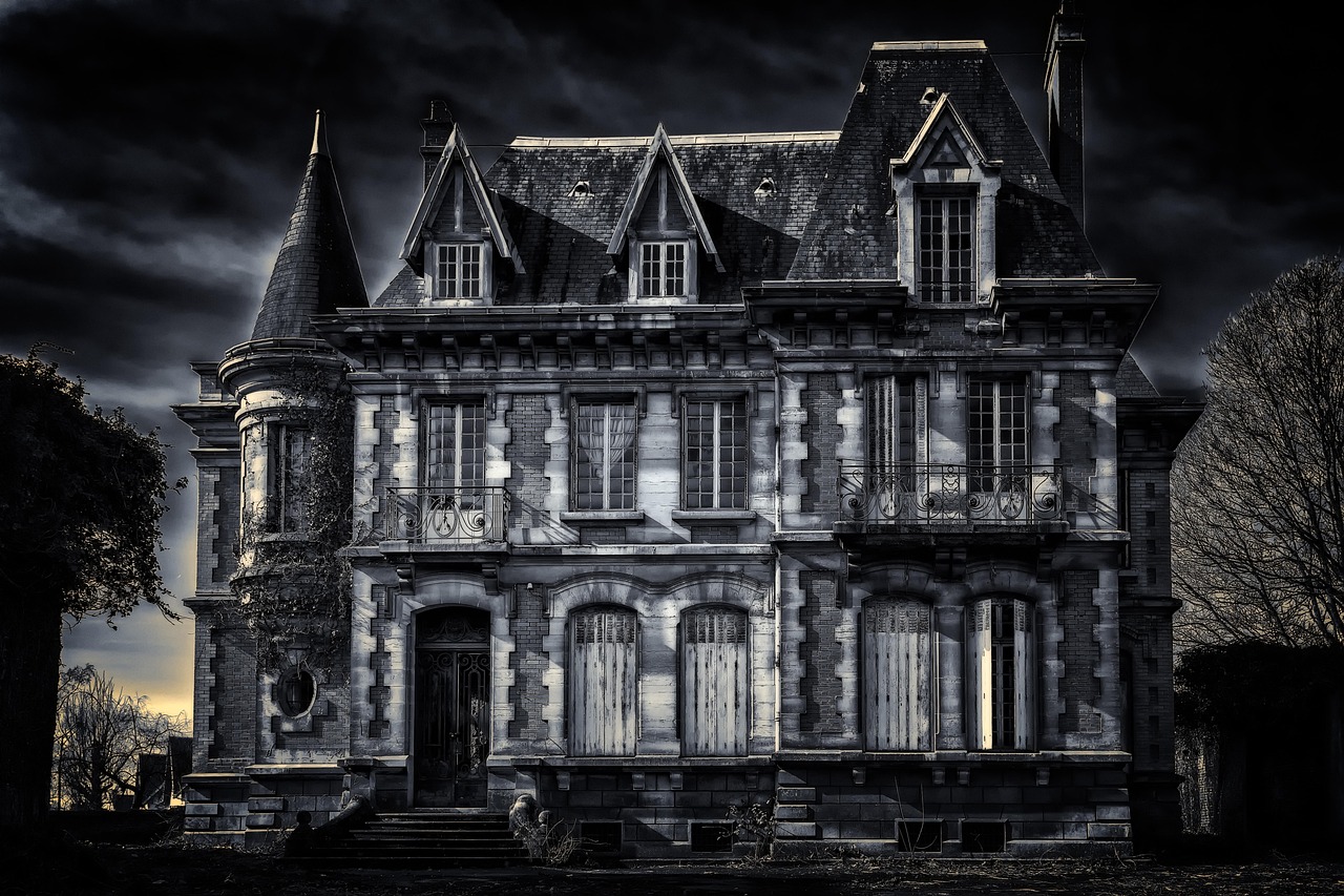 Achat de noms de domaine expirés en France