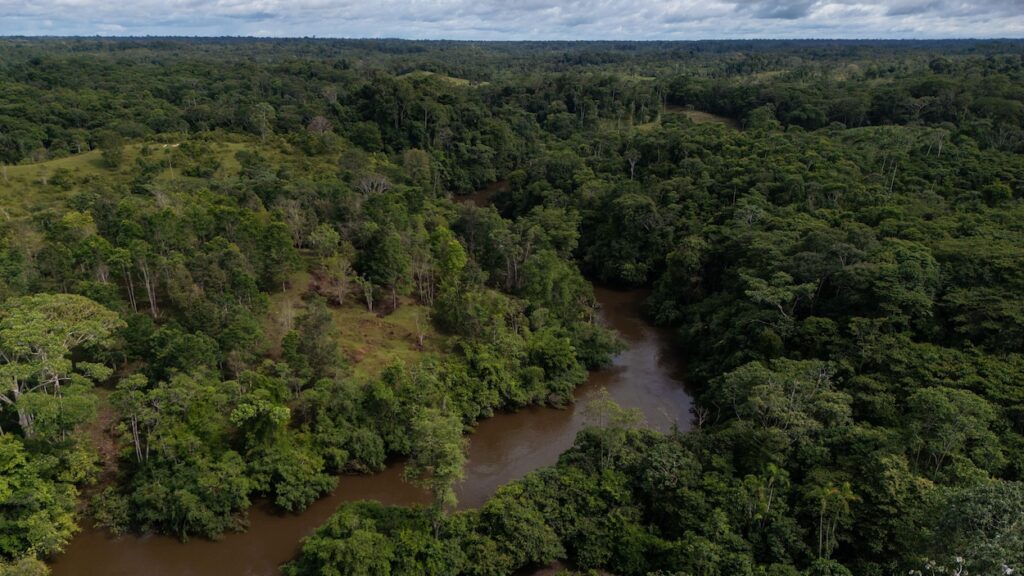 découvrez l'impact de l'intelligence artificielle en colombie au service des peuples amérindiens, favorisant l'inclusion, la préservation culturelle et le développement durable.