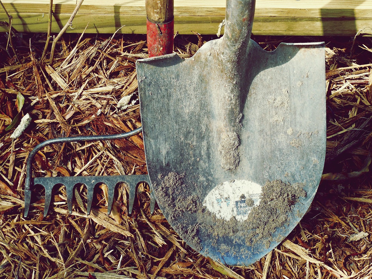 RGPD et outils IA : ce que tu peux y mettre, et ce que tu ne dois pas